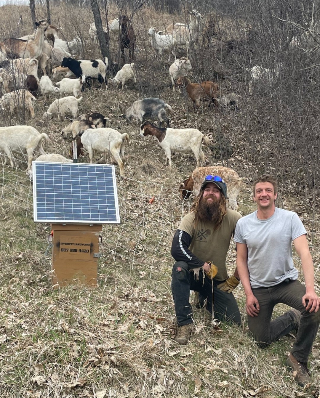 Meet Upstream Partner:  Diversity Landworks (@diversitylandworks)Since its inception in 2014, Diversity Landworks has worked throughout Minnesota to preserve the land with a unique solution: goats. They use goats, in addition to other restoration tactics like controlled burning, to manage populations of invasive species throughout the state in an effort to care for Minnesota’s natural places.https://www.diversitylandworks.com/ — from Instagram