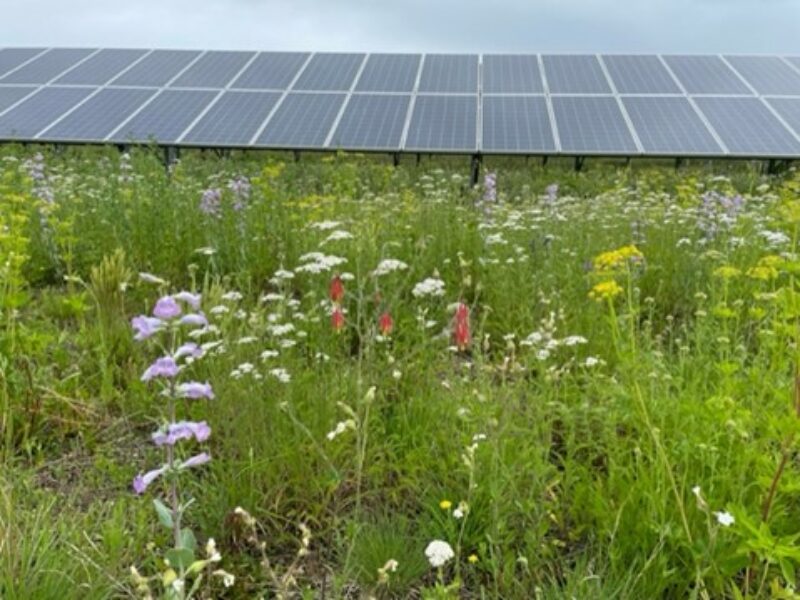 Powerful Stories of Stewardship with Connexus Energy - Upstream