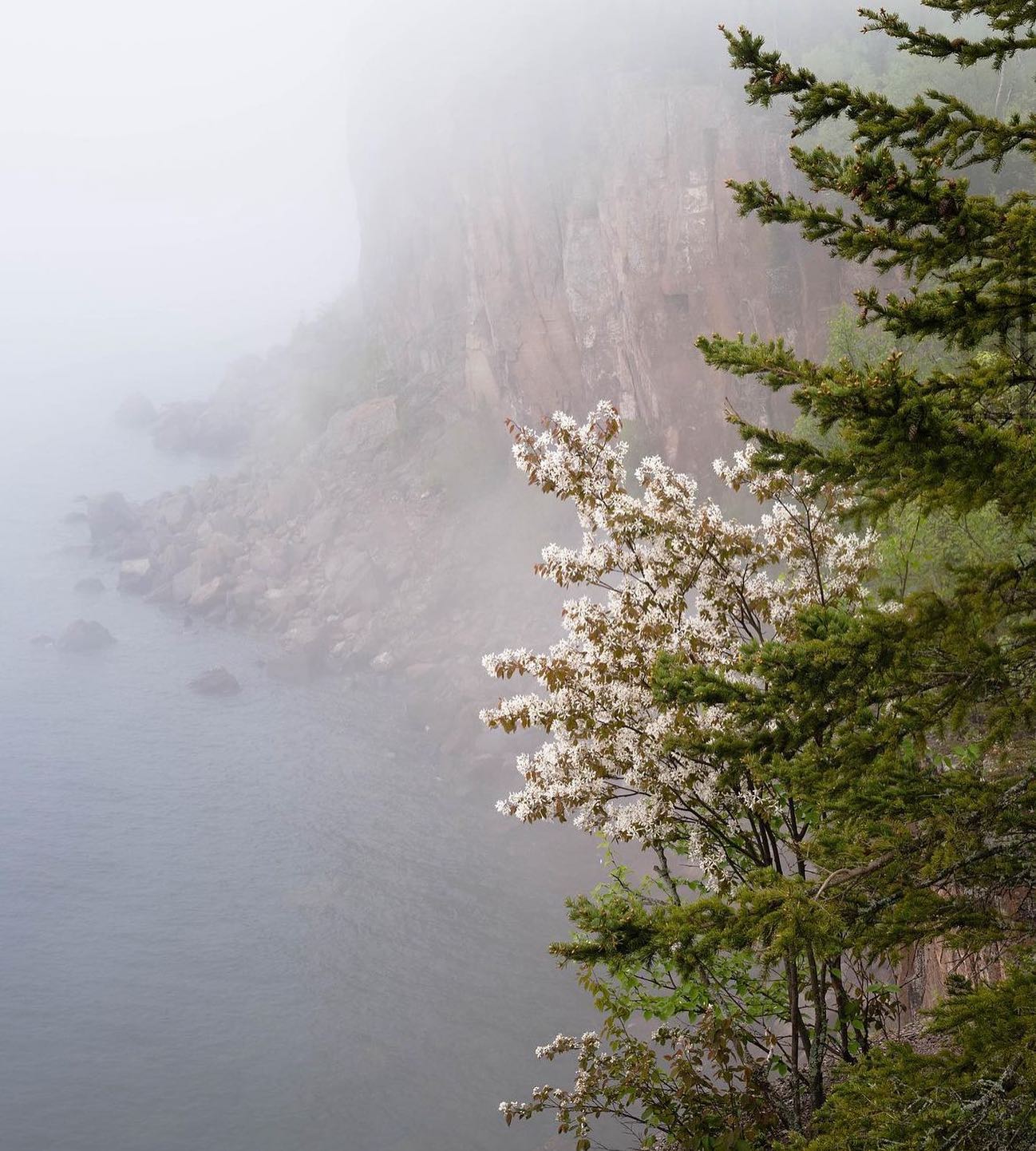 Minnesota photographer @colin.willemsen captures the beauty of Lake Superior in “Sign of the Season.”He shares, “I love nature's flux. In each moment you can find a memory. A little piece of something that existed before.The constant change reminds me of what's come and gone in my own life, but also how the future still holds a sense of dependability”How do you connect with Minnesota? Let us know now by taking our 3-question survey at the link in bio.#mnphotographer #mnphotography #northshore #lakesuperior #mnupstream #lovingwherewelive — from Instagram