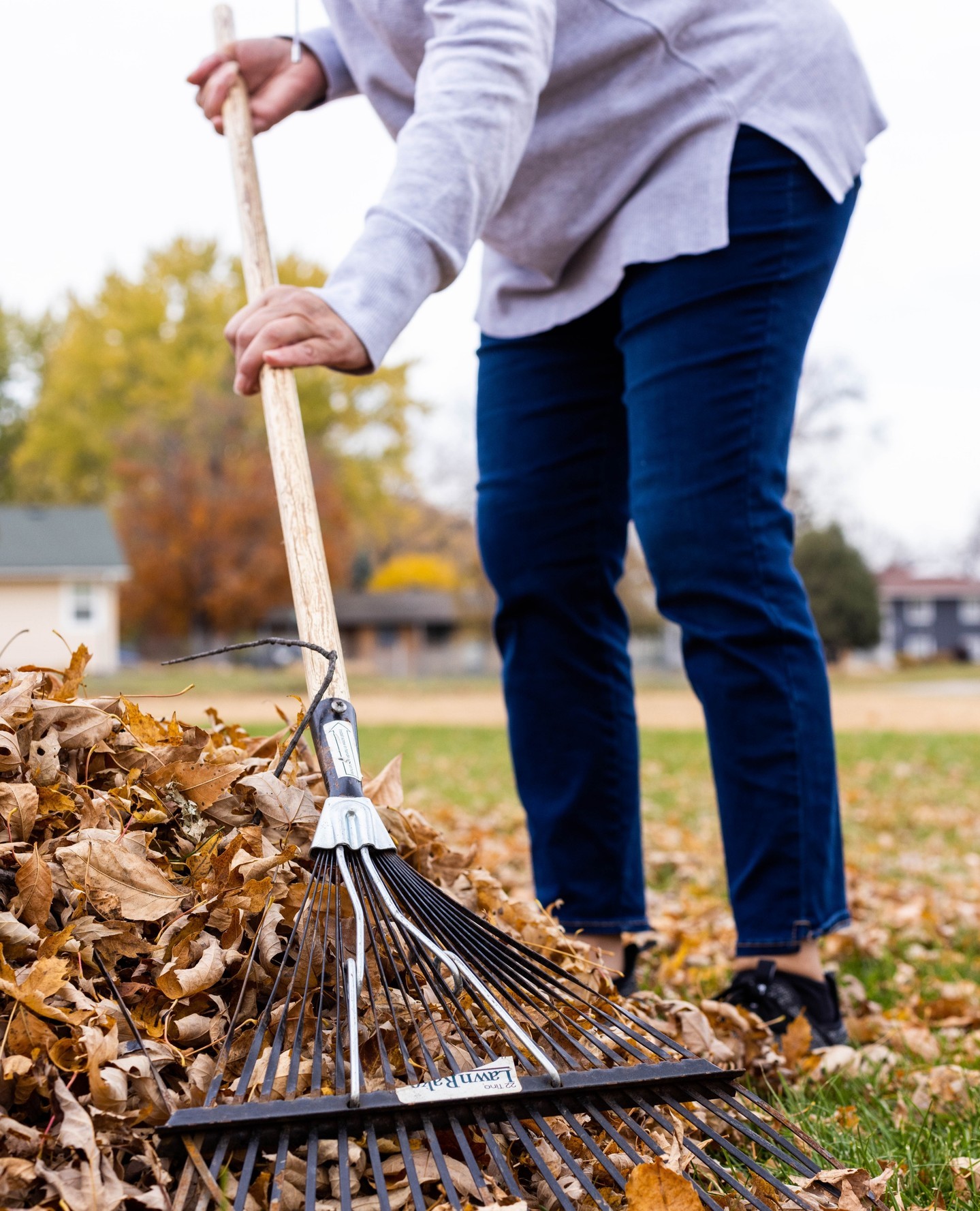 3 Ways You Can #CareForPlace This Fall:⁠⁠ Collect and Compost Leaves ⁠Instead of bagging and sending your fallen leaves to the landfill, use them as a resource. Collect leaves and create a compost pile or bin. Did you know? The resulting leaf mold can be used as a natural soil conditioner in the spring.⁠⁠ Leave Some Leaves⁠You don't have to remove all the leaves from your lawn. Leaving a layer of leaves can benefit the ecosystem by providing a habitat for insects and other small creatures.  Tip: Use a mulching lawnmower to chop them into smaller pieces, which will break down more quickly.⁠⁠ Use Natural Fertilizers⁠Opt for organic and natural fertilizers, such as compost or well-rotted manure, to nourish your soil.  Avoid chemical fertilizers that can harm the environment and waterways. — from Instagram