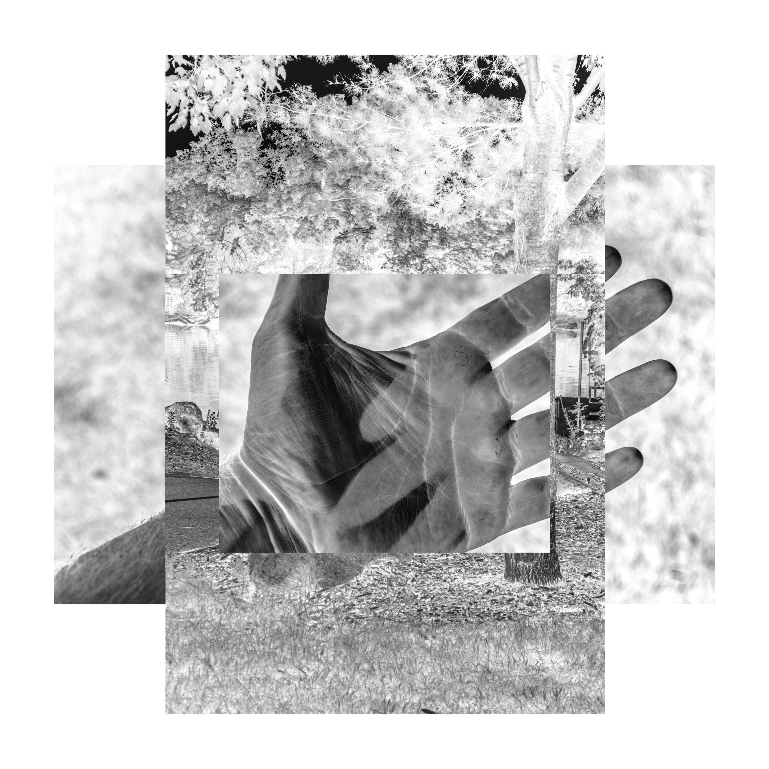 Pemf Frequencies: The Secret To Unlocking Your Body'S Healing Power? - yxrclbm