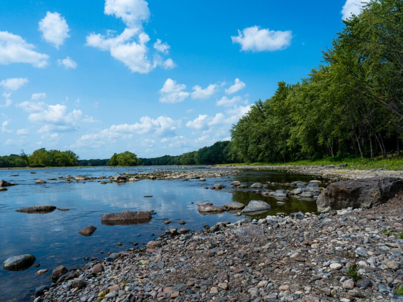 Minnesota Lake