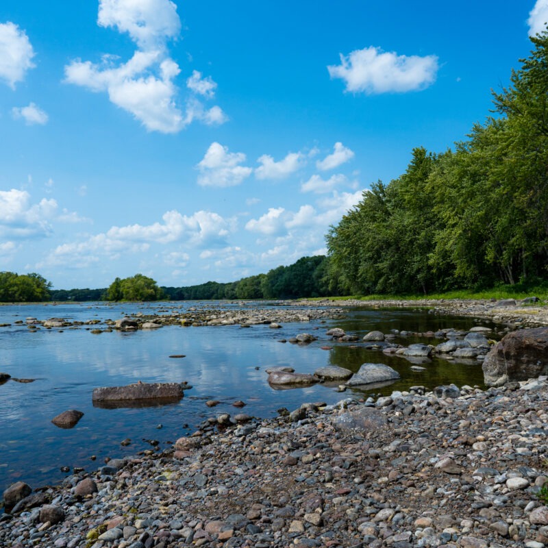 Minnesota Lake